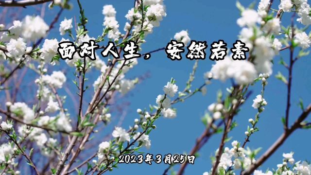 2023年3月25日面对人生,安然若素