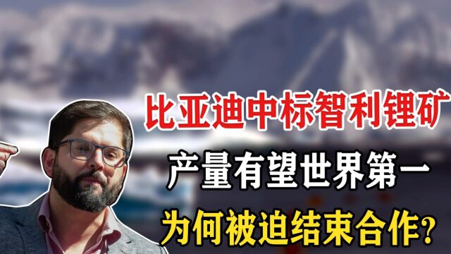 2022年比亚迪中标智利锂矿,产量有望世界第一,却被临时撕毁合同