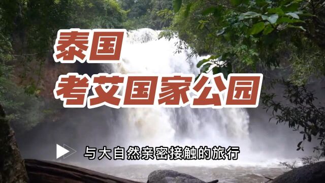 探秘泰国考艾国家公园,与大自然亲密接触的旅行