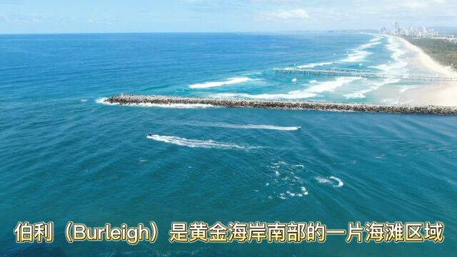 遍布全球的黄金海岸Burleigh本土企业