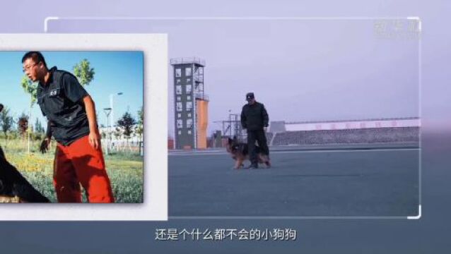 功勋犬来啦 | 边境卫士元凯