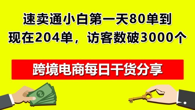 1.速卖通小白第一天80单到现在204单,访客数破3000个