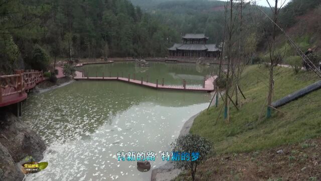 春光美好广元旅游