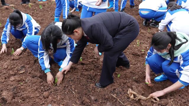 安全护航 健康成长 法治伴我行——汉阴县人民检察院开展“全国中小学生安全教育日”法治教育活动