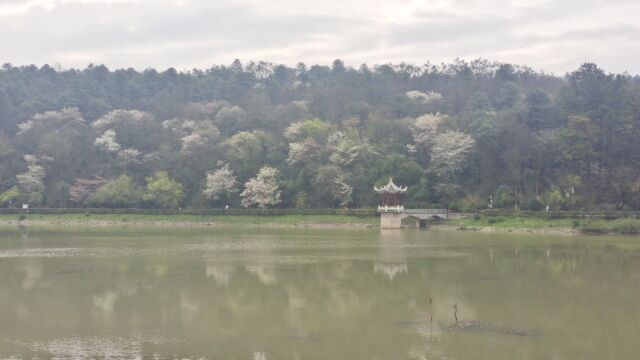 贵阳长坡岭