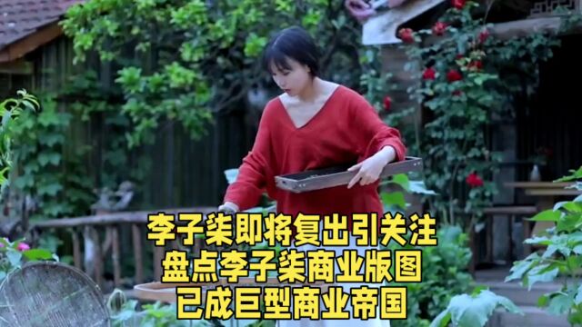 李子柒即将复出引关注,盘点李子柒商业版图,已成巨型商业帝国.