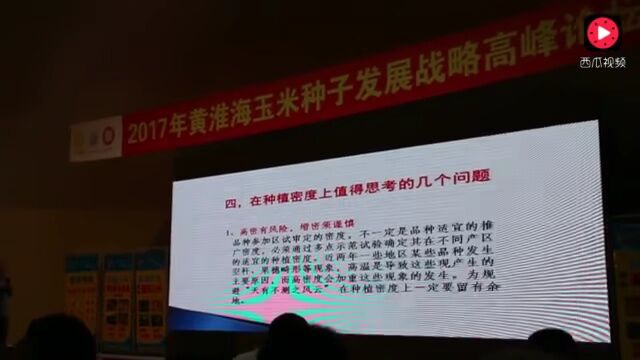 玉米密植更高产,到底对不对?这才是正确答案!