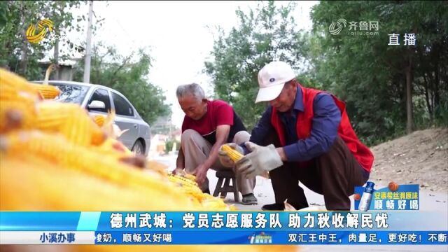 武城成立党员志愿服务队,帮农户采收捡装搬运秋粮,助力秋收