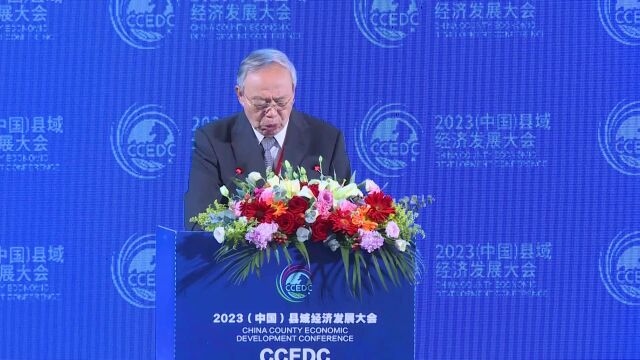 郑新立在2023中国县域经济发展大会上讲话