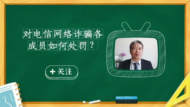 对电信网络诈骗案件中各成员如何处罚?