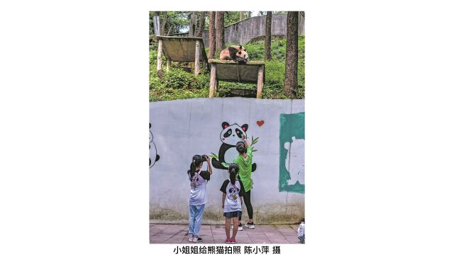 雅安:镜头记录生态,影像关爱自然 | 摄影训练营图赏