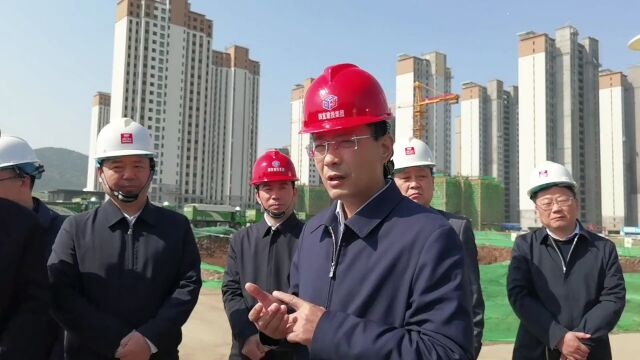 张志强到田家庵区调研督导棚户区改造和城市建设工作