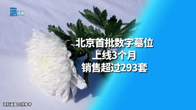 北京首批数字墓位上线3个月销售超过293套