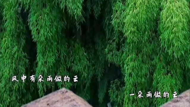 风中有朵雨做的云