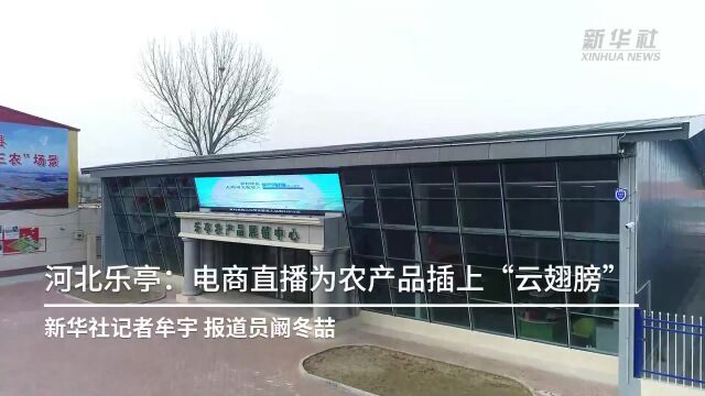 河北乐亭:电商直播为农产品插上“云翅膀”