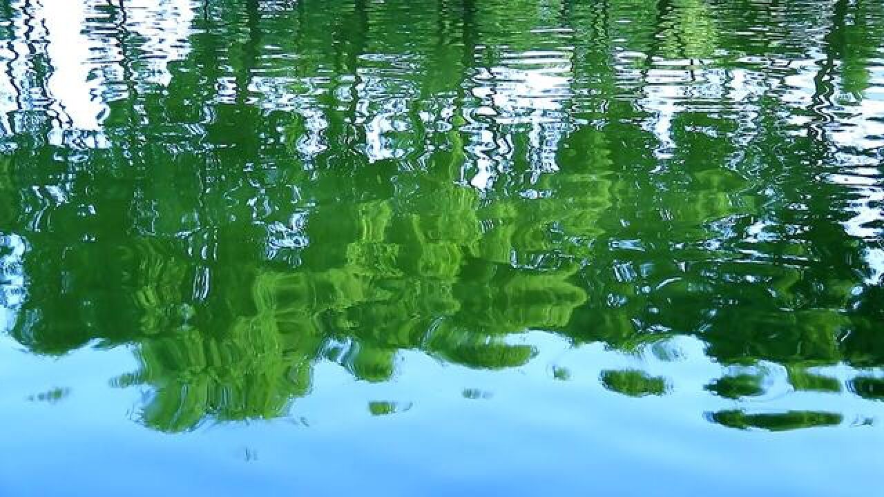 音乐Greenwaves(碧波荡漾)SecretGarden_高清1080P在线观看平台_腾讯视频