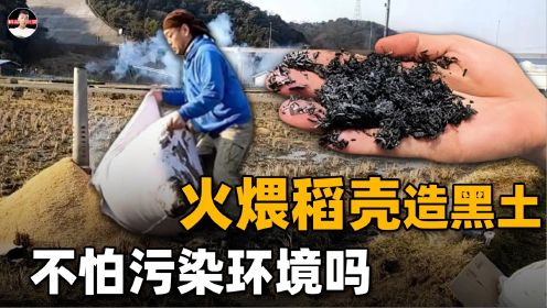 日本有大量“黑土壤”，全是火煨稻壳后“人造”？中国能借鉴吗？