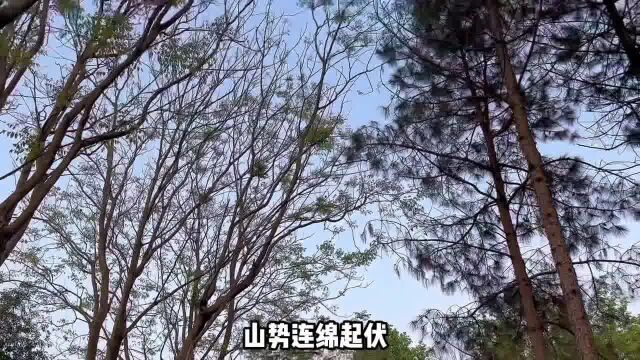 开心福地,怎能不来?4月21日,首届开福区旅游发展大会将在利亚德马栏山虚拟制作基地盛大开幕!