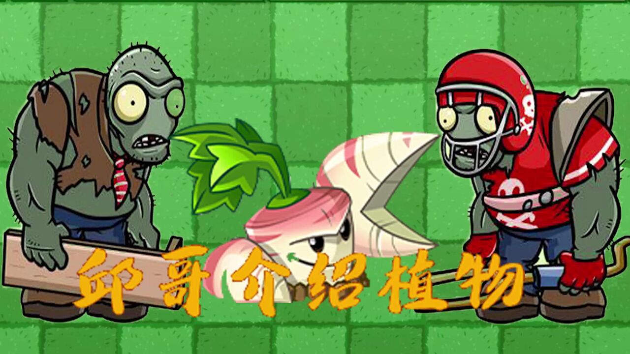 052邱哥介绍植物:植物大战僵尸之防风草!
