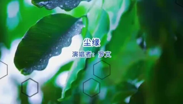 罗文《尘缘》K歌版,熟悉的旋律,永远的回忆