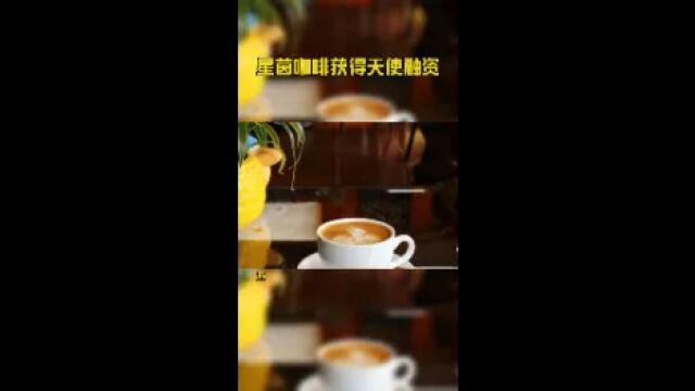 星茵咖啡获得天使融资