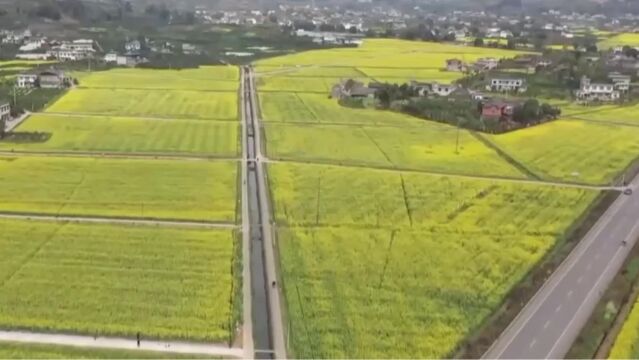 多措并举,银行业保险业全面推进乡村振兴