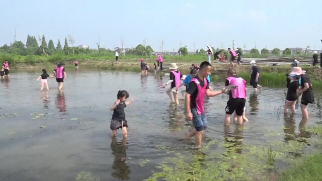 津市青苗社区:打造研学基地 助力乡村振兴