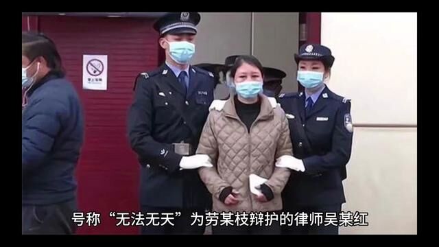 号称“无法无天”为劳某枝辩护的律师吴某红被立案调查