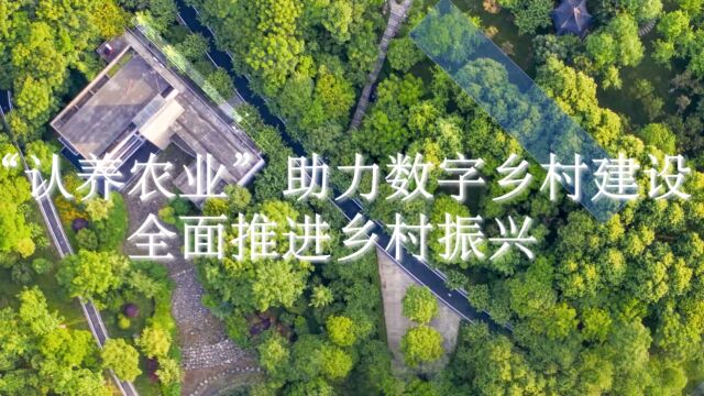 认养农业助力数字乡村建设,全面推进乡村振兴