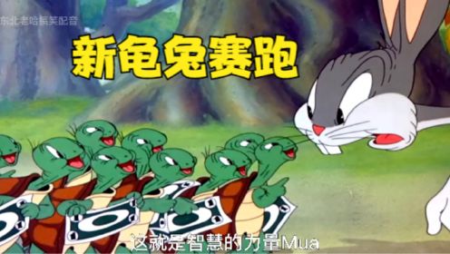 新龟兔赛跑，乌龟叫上兄弟，这就是智慧的力量！