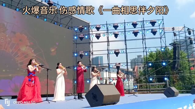 火爆音乐278 伤感情歌《一曲相思伴夕阳》全网最𐟔妯日更新