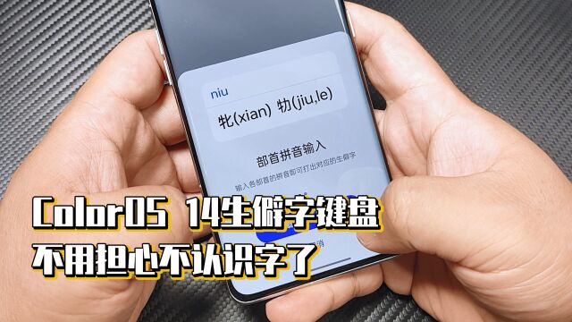 ColorOS 14生僻字键盘,不用担心不认识字了