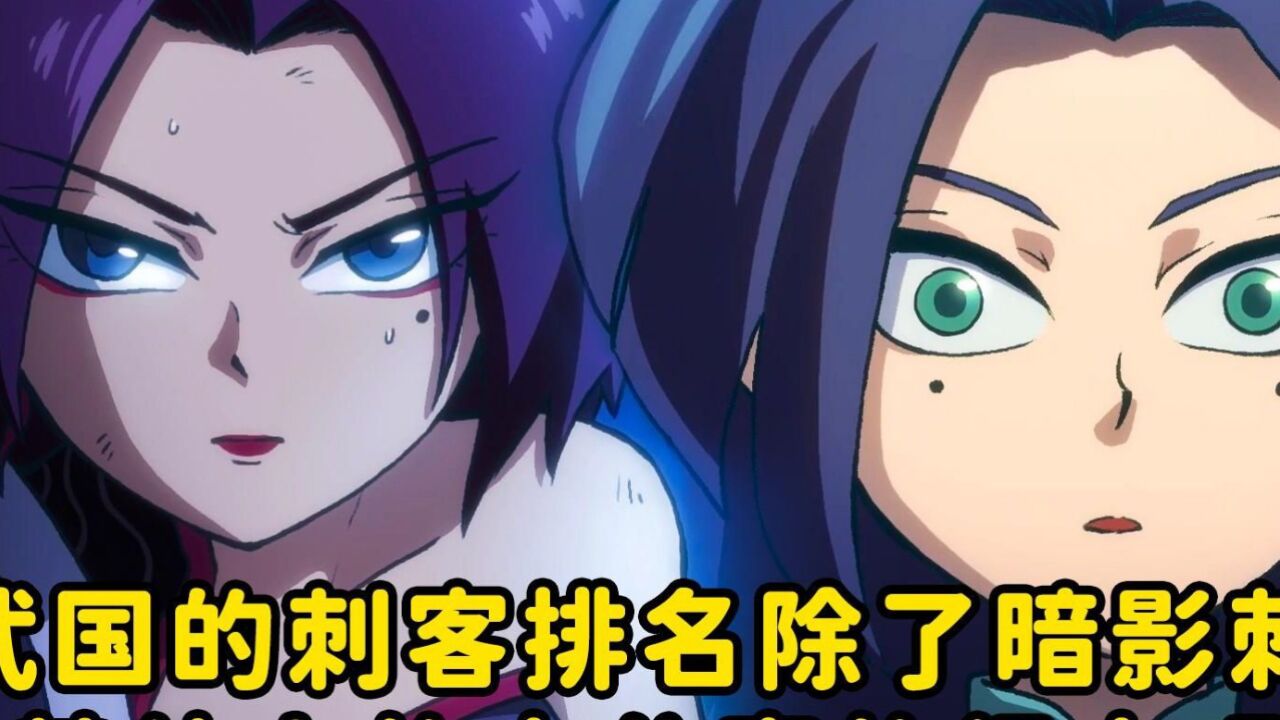 玄武国的刺客排名除了七大暗影刺客外,其他人的水分真的很大吗