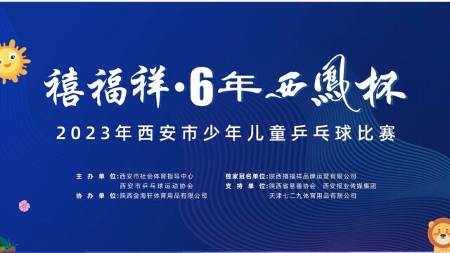 “禧福祥ⷶ年西凤杯”2023年西安市少年儿童乒乓球比赛(蒲城宝石)程靖添vs胡锦泽(新鸿业乒乓球俱乐部)甲组男子单打决赛