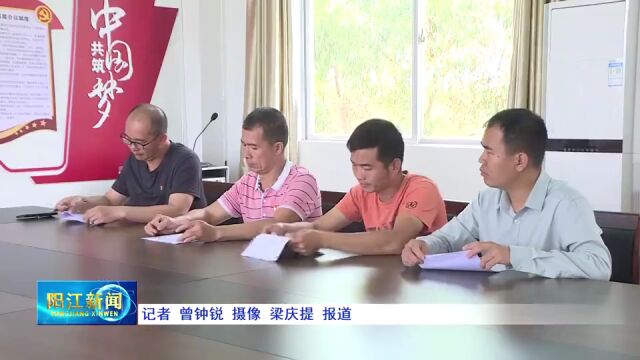 激活县域振兴“原动力”!阳江2镇40村上榜省乡村治理示范创建名单