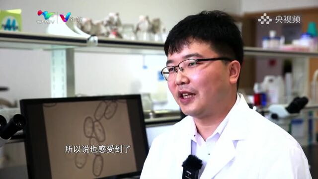 央视频推发我台融媒体访谈节目《单项冠军“群峰并起” 书写高质量发展“潍坊篇章”》