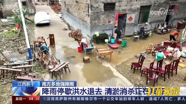 江西新干:降雨停歇洪水慢慢退去,清淤消杀正在展开