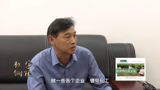 【数字铜陵】铜陵市福建商会: 服务会员 助力招商