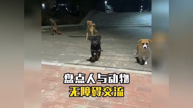 盘点人与动物无障碍交流