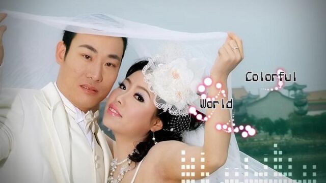 2008年结婚梦之恋