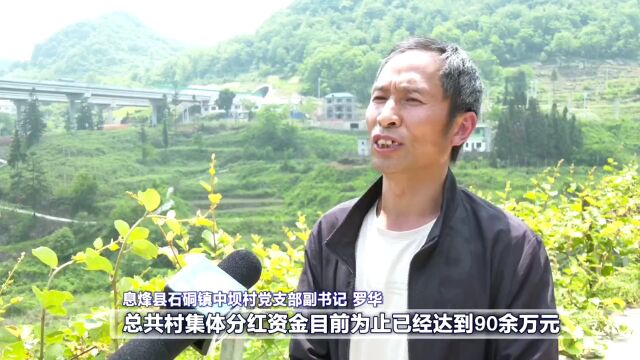 息烽县中坝村:“六权共享”打造全国“一村一品”示范村