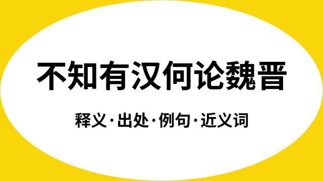 “不知有汉何论魏晋”是什么意思?