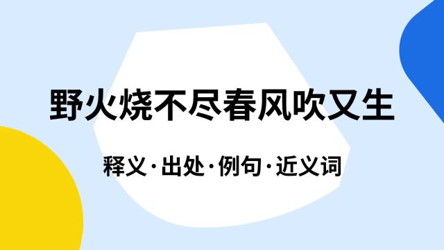 “野火烧不尽春风吹又生”是什么意思?