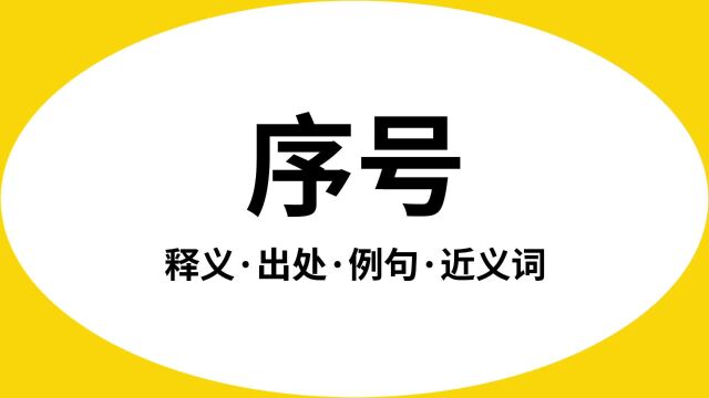 “序号”是什么意思?