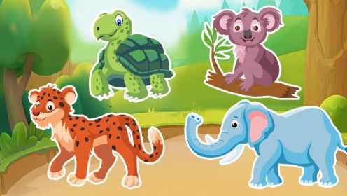 宝宝早教动画：认识动物大象，花豹，象龟，考拉