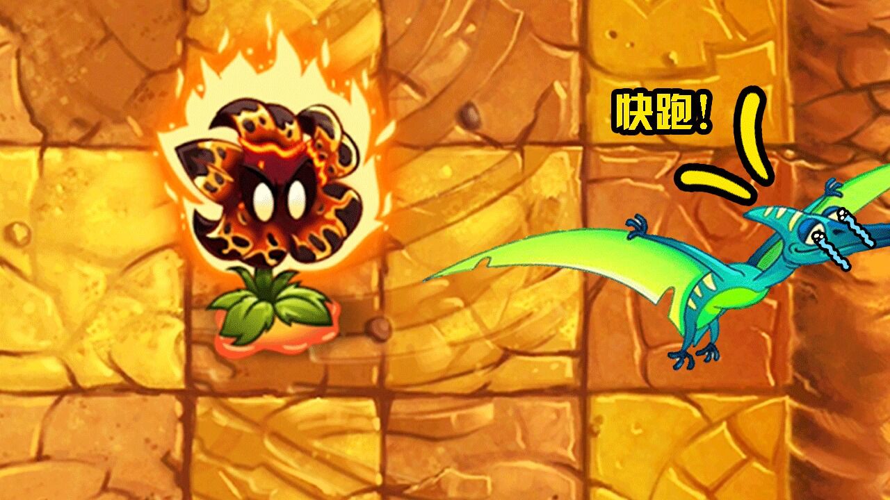 植物大战僵尸:新植物流星花能吓退龙群?龙群:不!是血脉压制!