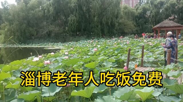 淄博市委书记承诺,建立1000家老年食堂,老年人免费吃饭