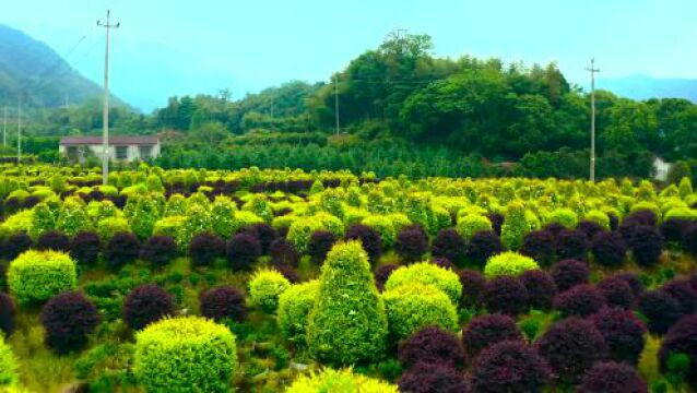 对标最优 赶超最强 奋力推进义乌更高质量发展 叶帮锐率队赴深圳、海口、晋江考察学习