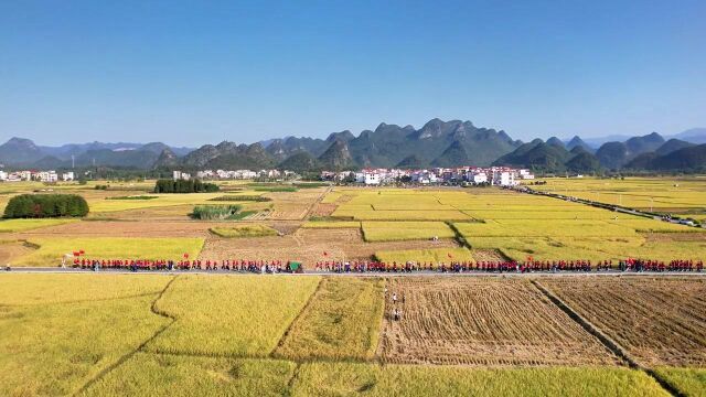 金秋时节,九嶷山迎来珠海容闳书院师生研学团,“同行同学体验生活百味,共研共悟探究人生希望”.#九嶷山#研学旅行#十里画廊#稻田风光美如画