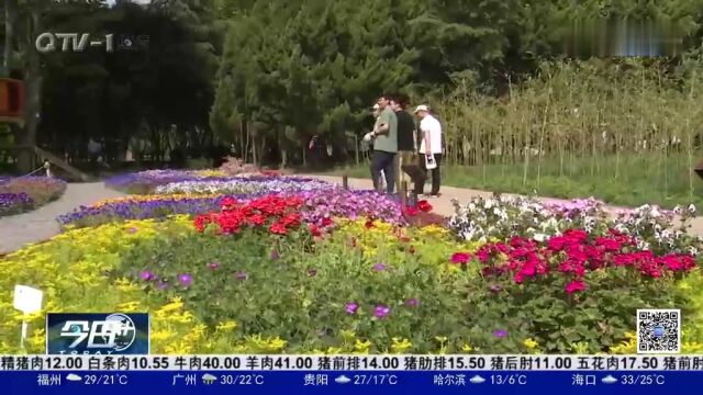 处处是美景!青岛农业大学群芳圃开园,校园里格外热闹